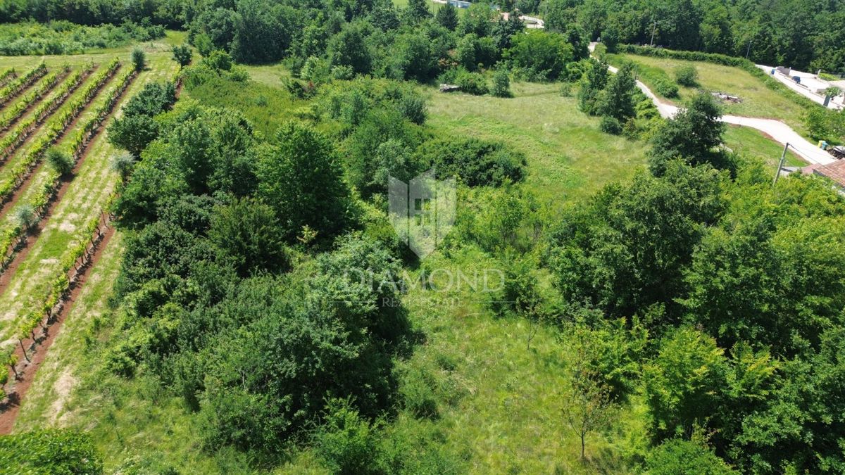Grande terreno edificabile vicino ad Albona