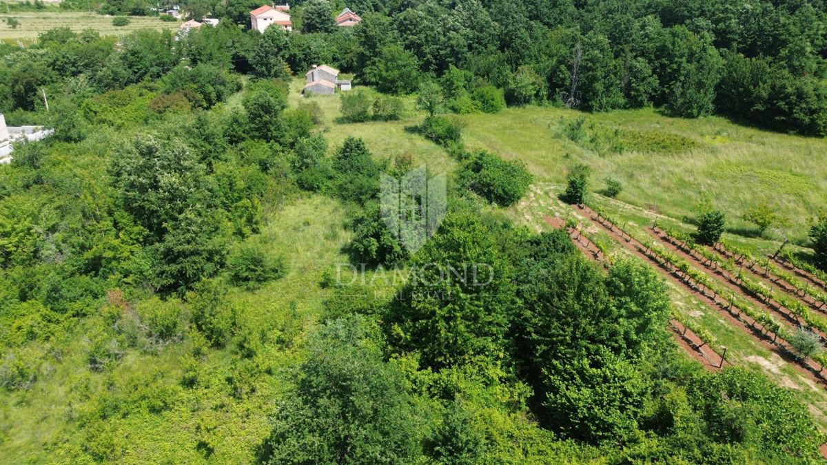 Grande terreno edificabile vicino ad Albona