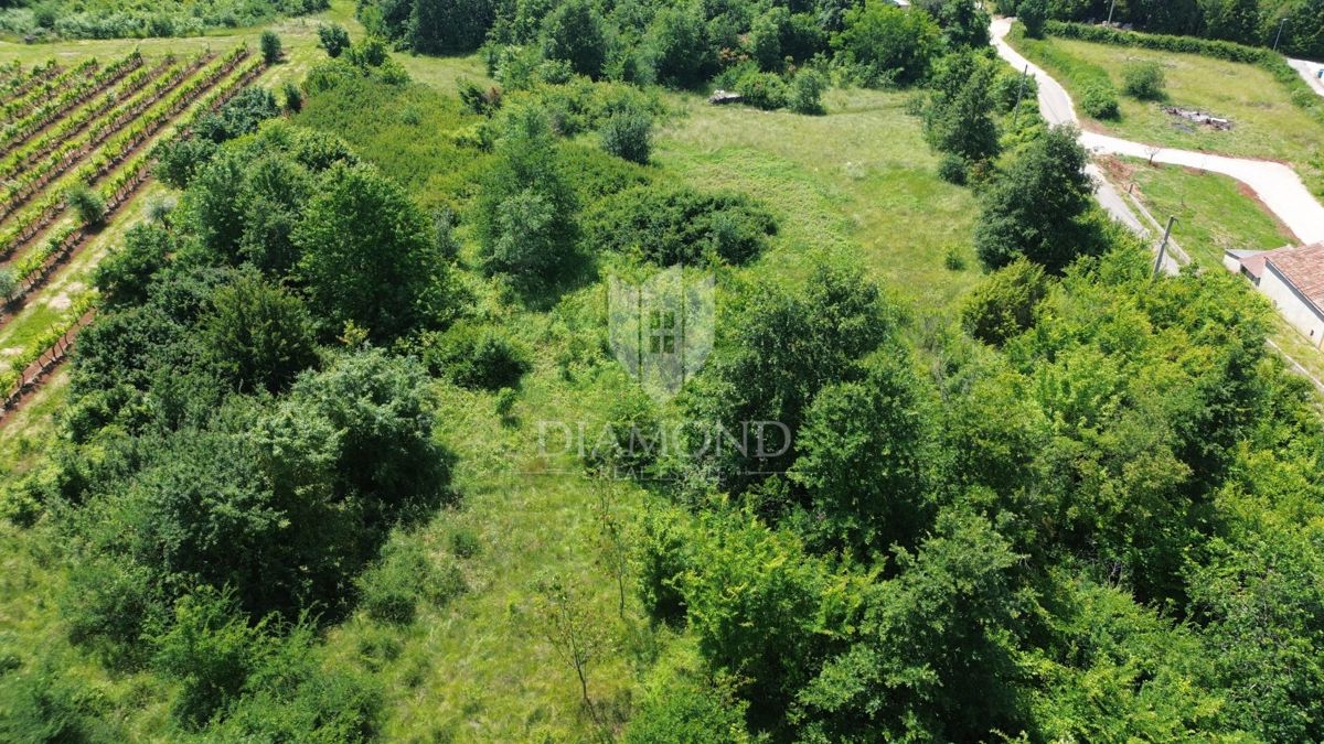 Grande terreno edificabile vicino ad Albona