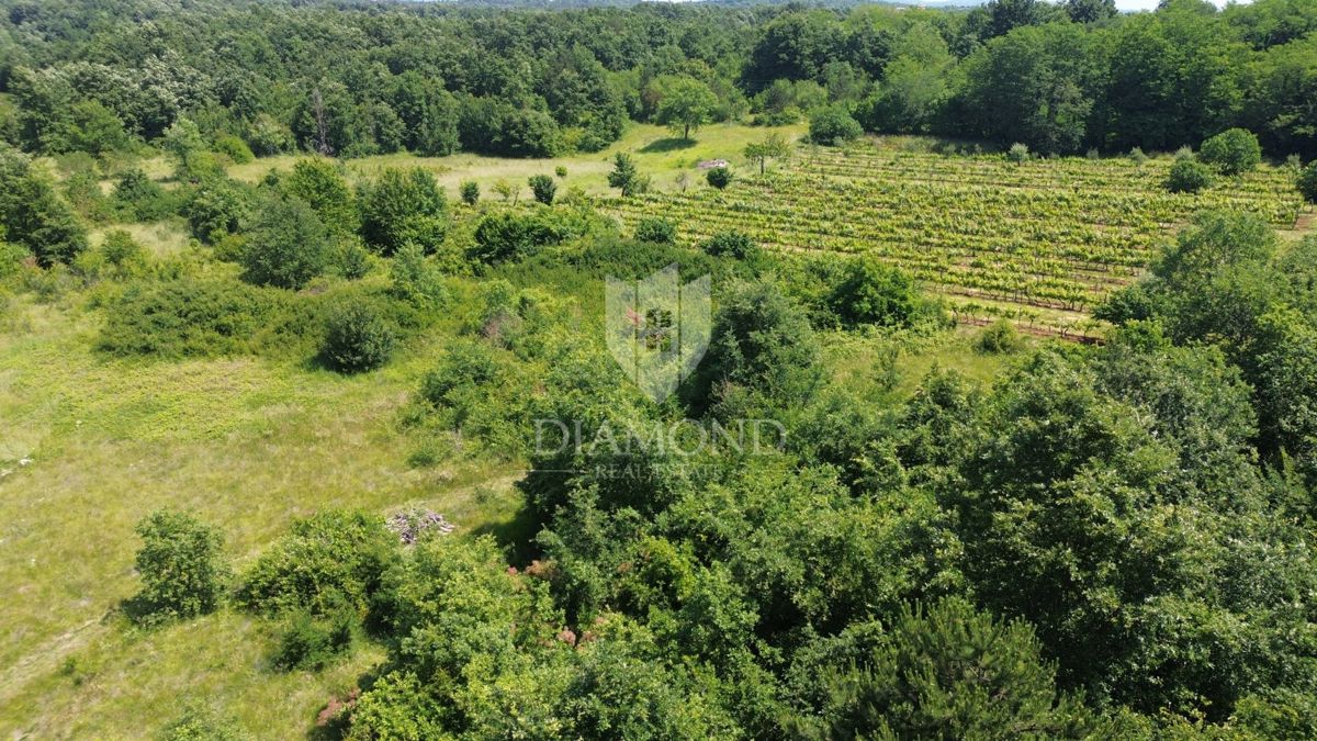 Grande terreno edificabile vicino ad Albona