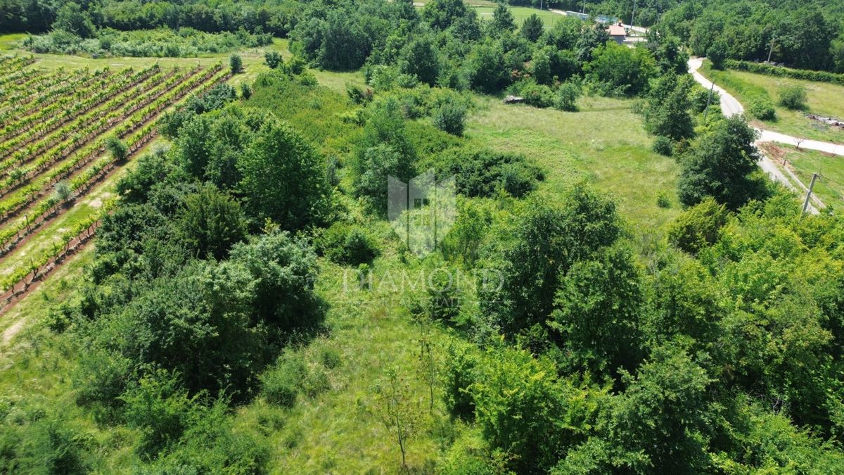 Grande terreno edificabile vicino ad Albona