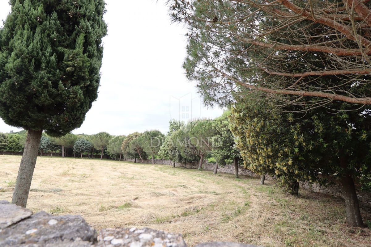 Sveti Lovreč – dintorni: Privacy e opportunità in Istria