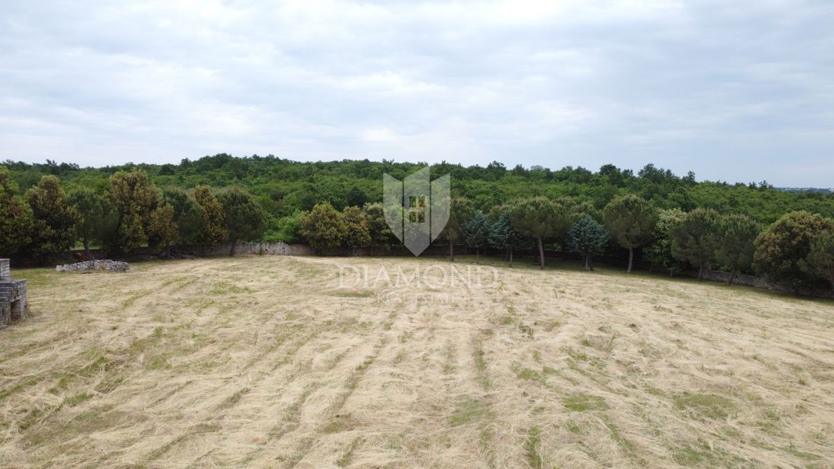 Sveti Lovreč – dintorni: Privacy e opportunità in Istria