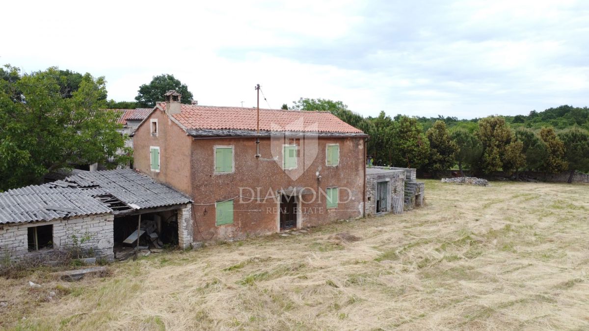 Sveti Lovreč – dintorni: Privacy e opportunità in Istria