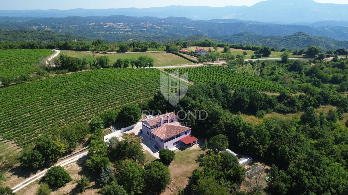 Istria centrale, Gračišće, bella casa immersa nella foresta