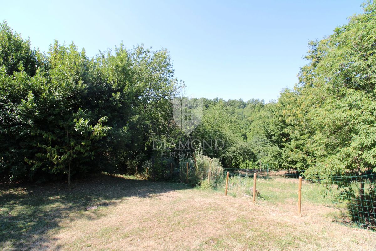 Istria centrale, Gračišće, bella casa immersa nella foresta