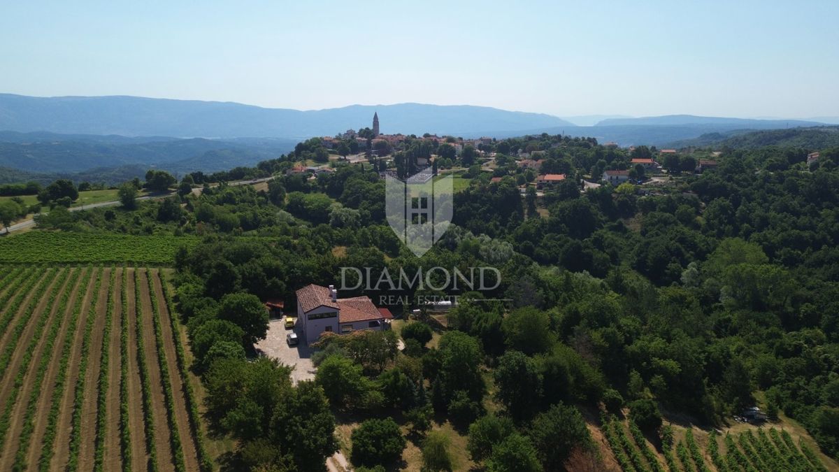 Istria centrale, Gračišće, bella casa immersa nella foresta