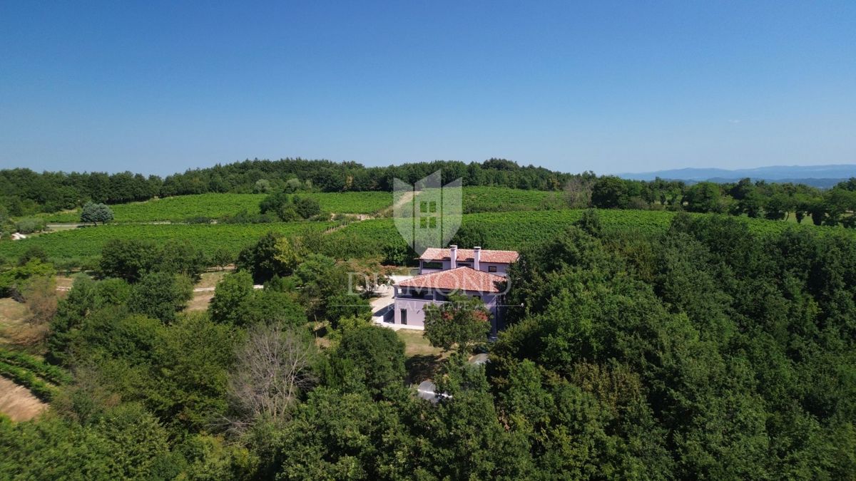 Istria centrale, Gračišće, bella casa immersa nella foresta