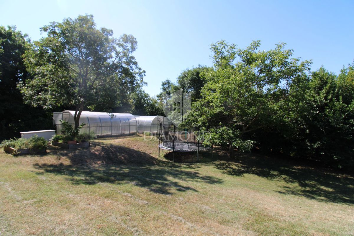 Istria centrale, Gračišće, bella casa immersa nella foresta