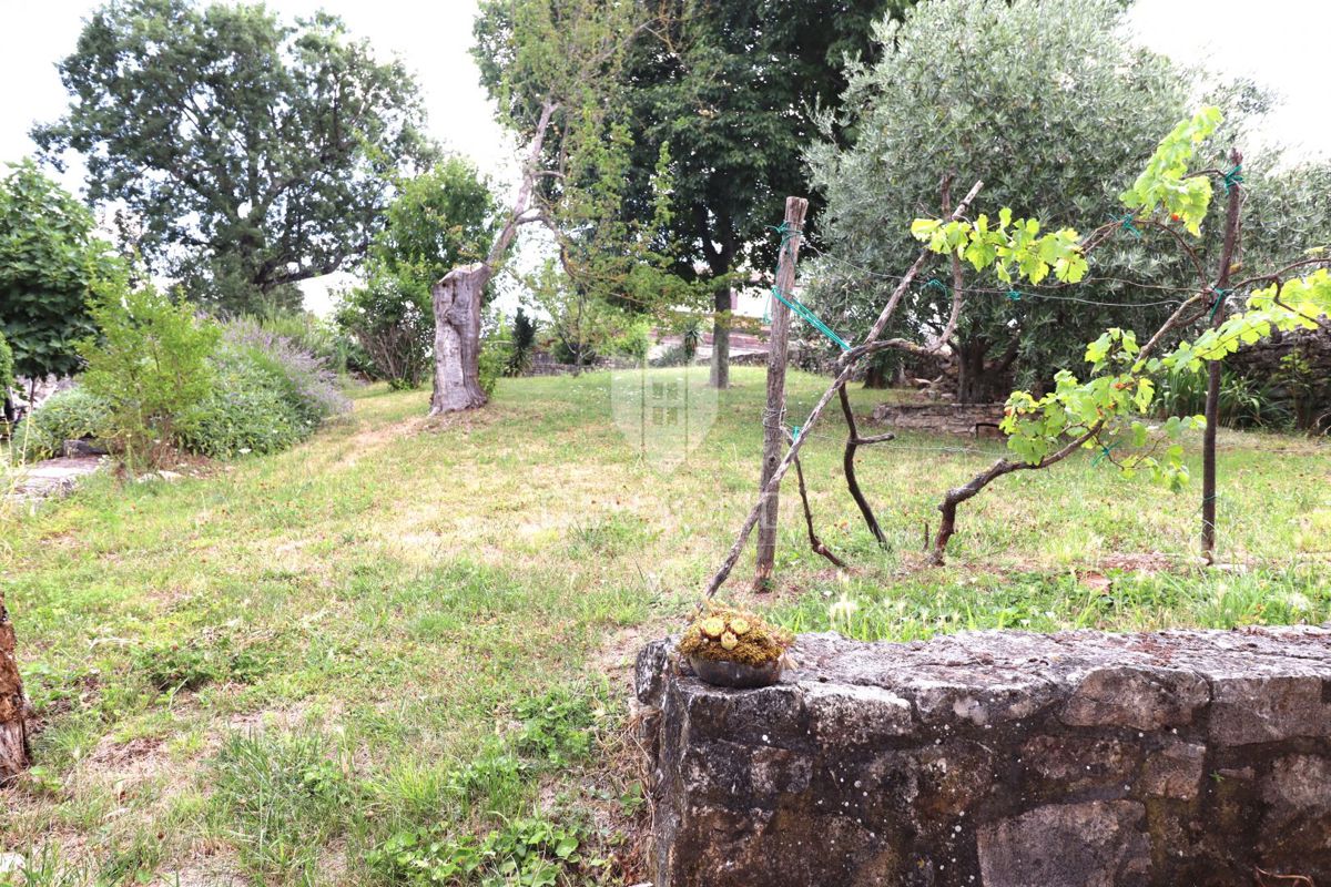   Poreč, dintorni – Affascinante casa in pietra con taverna