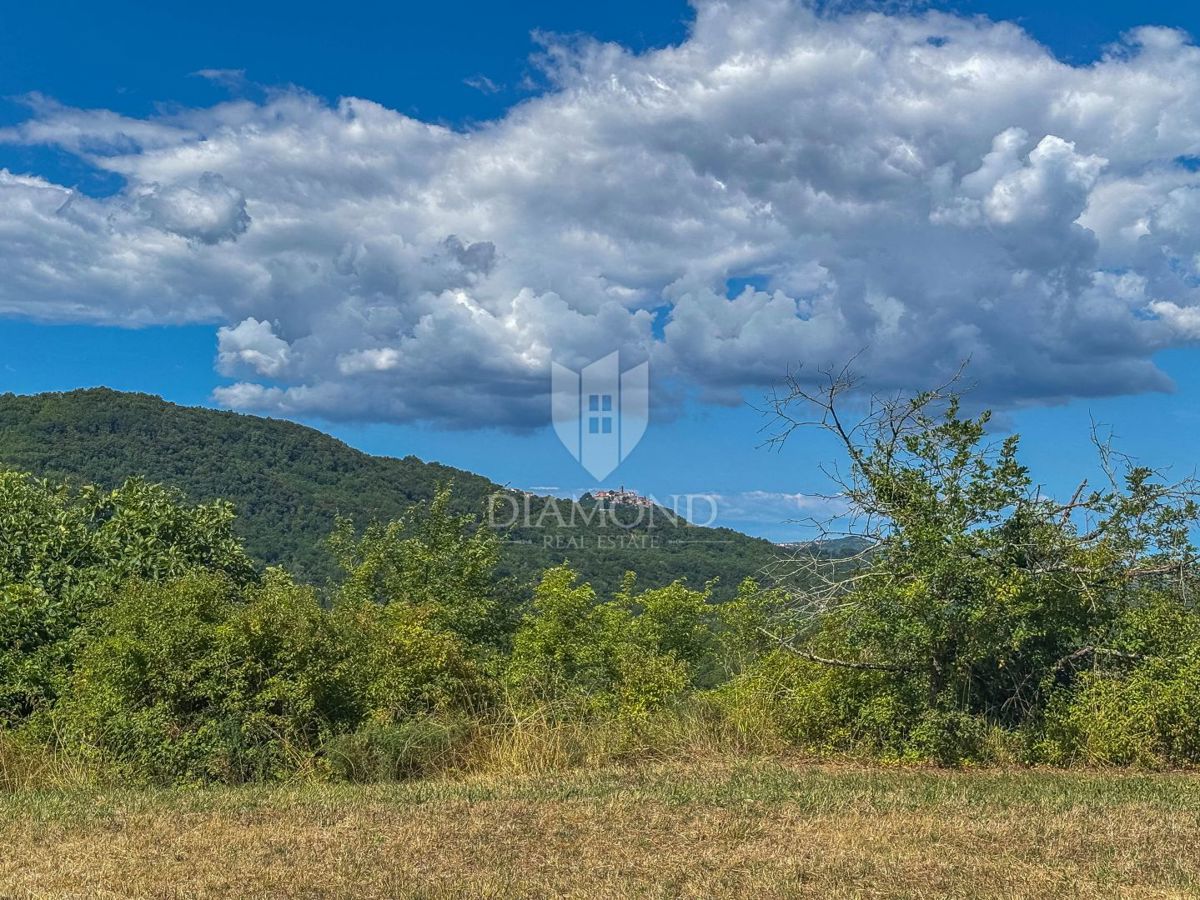 Montona, dintorni, eccezionale terreno edificabile con vista!