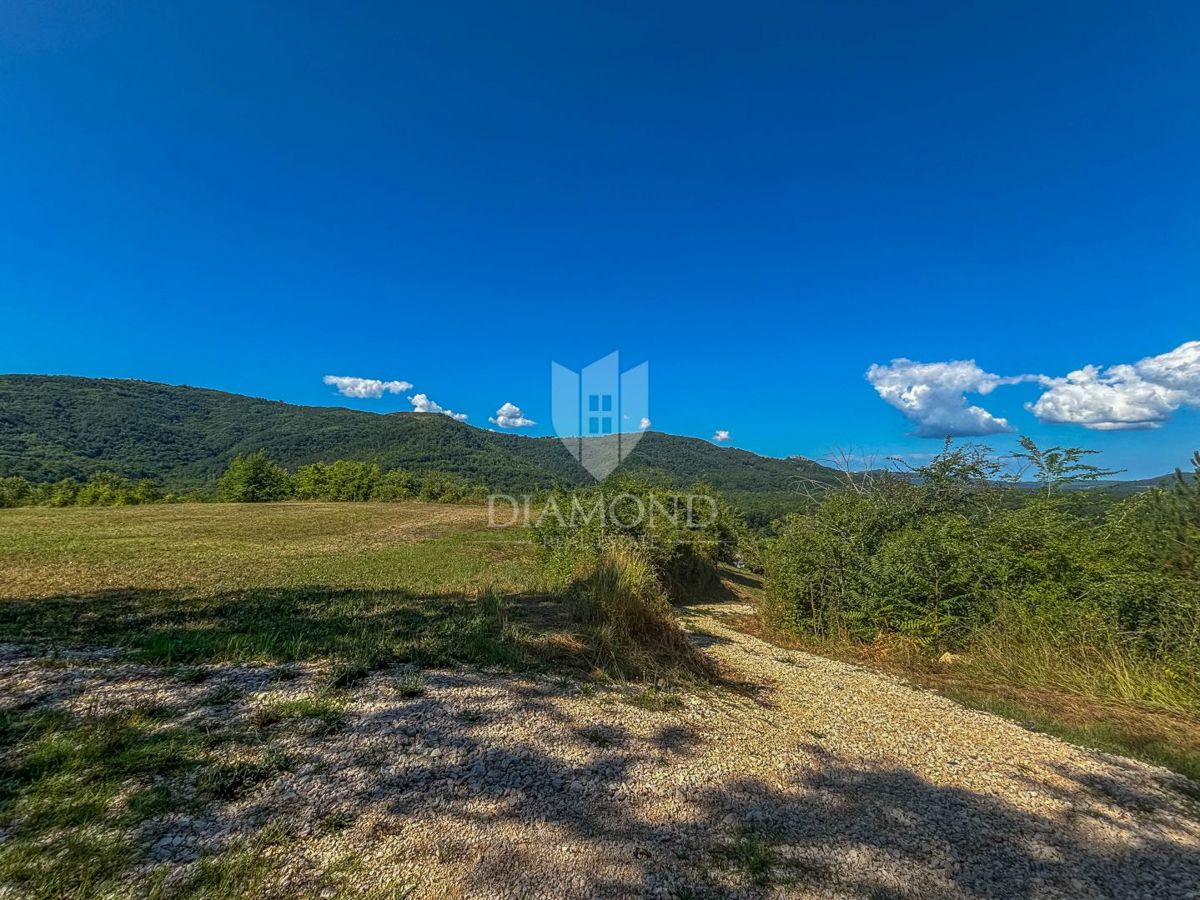 Montona, dintorni, eccezionale terreno edificabile con vista!