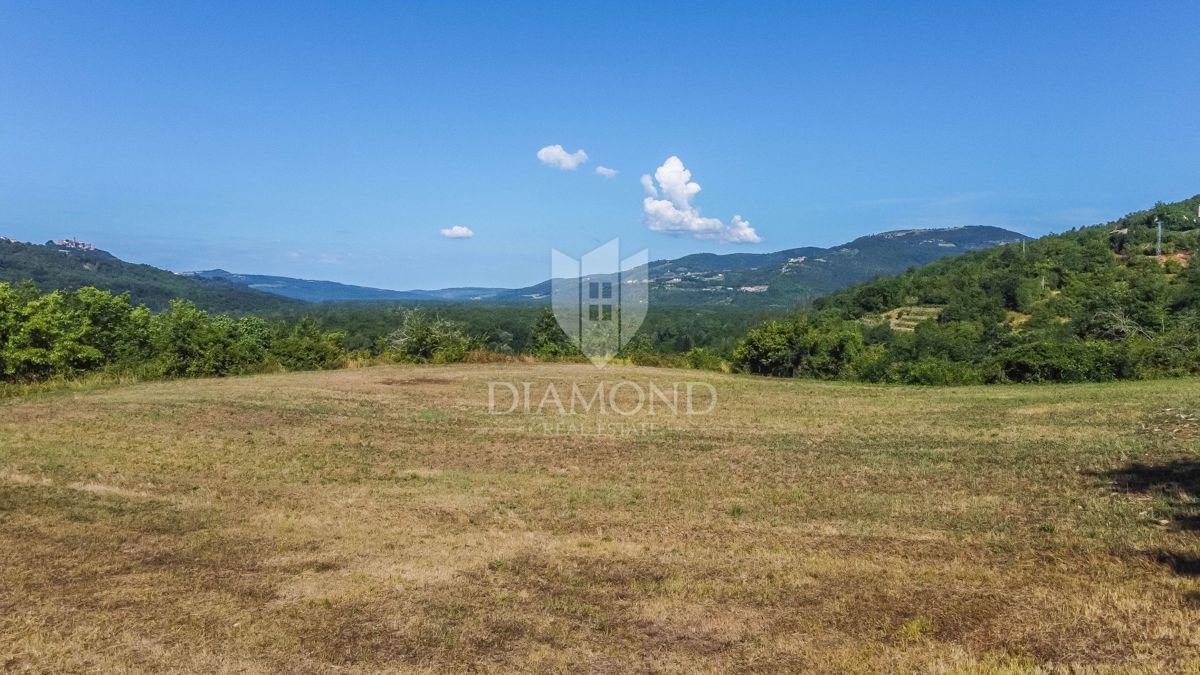 Montona, dintorni, eccezionale terreno edificabile con vista!