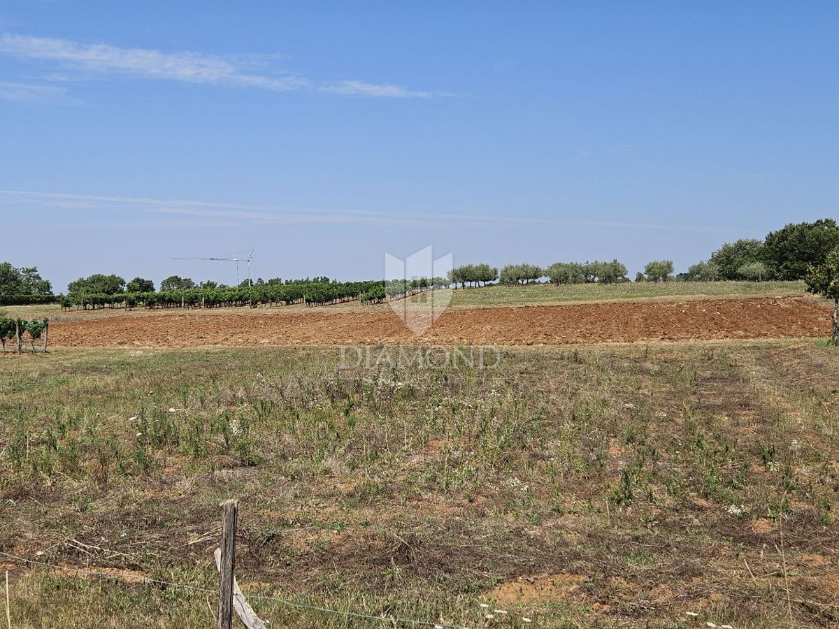Zona di Parenzo, interessante terreno edificabile!