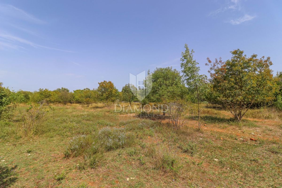 Svetvinčenat, splendido terreno edificabile in posizione idilliaca!