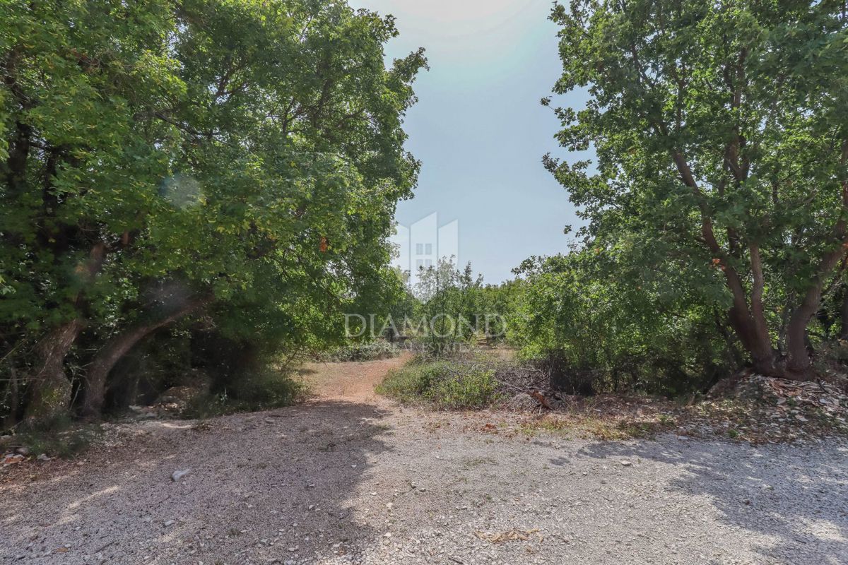 Svetvinčenat, splendido terreno edificabile in posizione idilliaca!