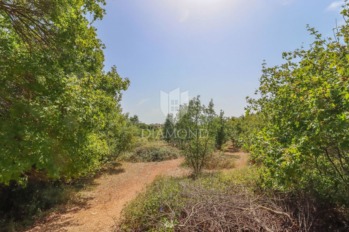 Svetvinčenat, splendido terreno edificabile in posizione idilliaca!