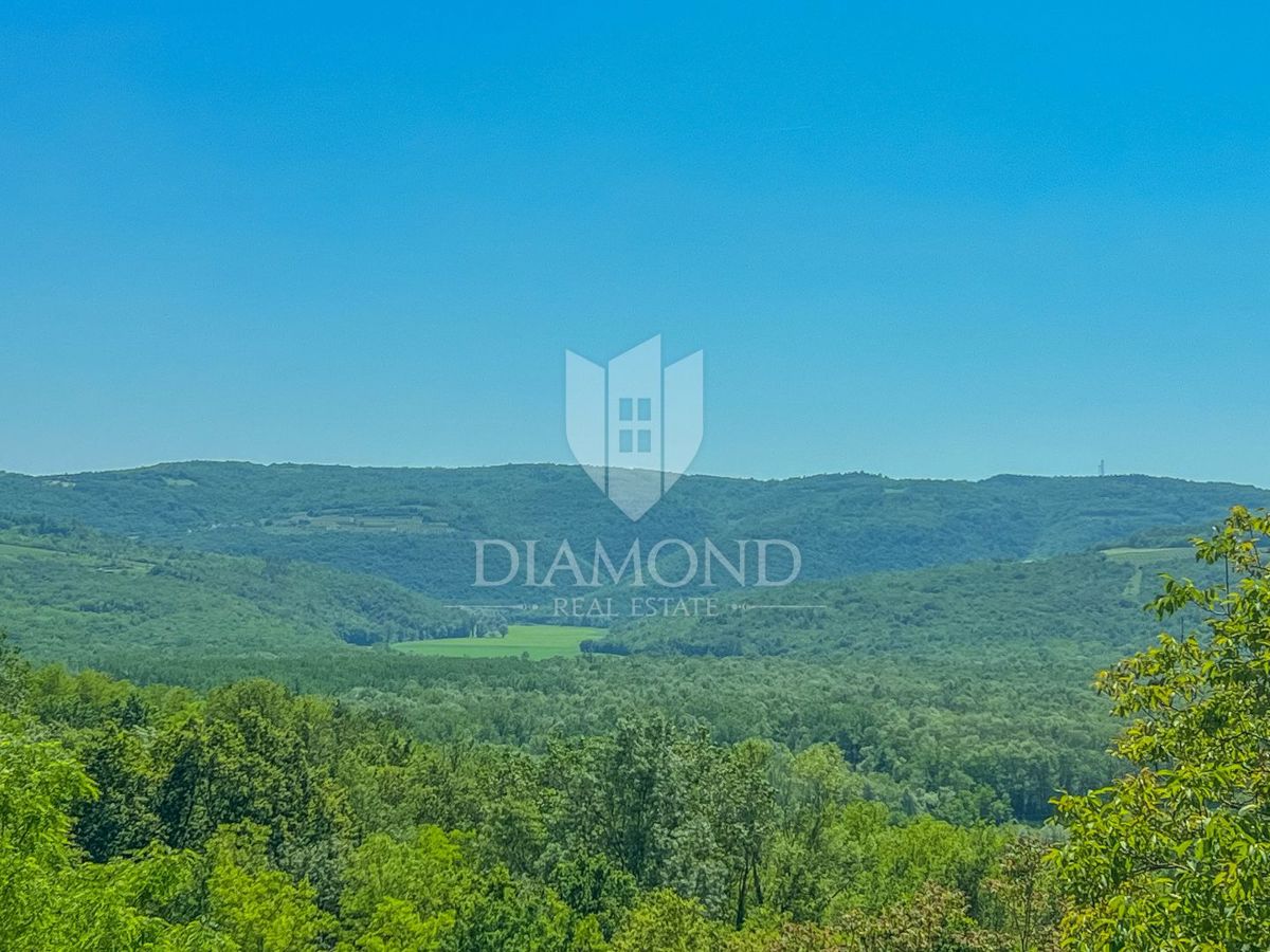 Dintorni di Oprtalj, casa in pietra di design con piscina