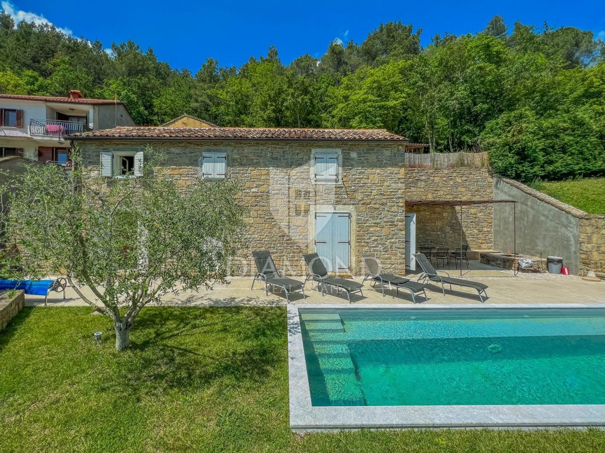 Dintorni di Oprtalj, casa in pietra di design con piscina
