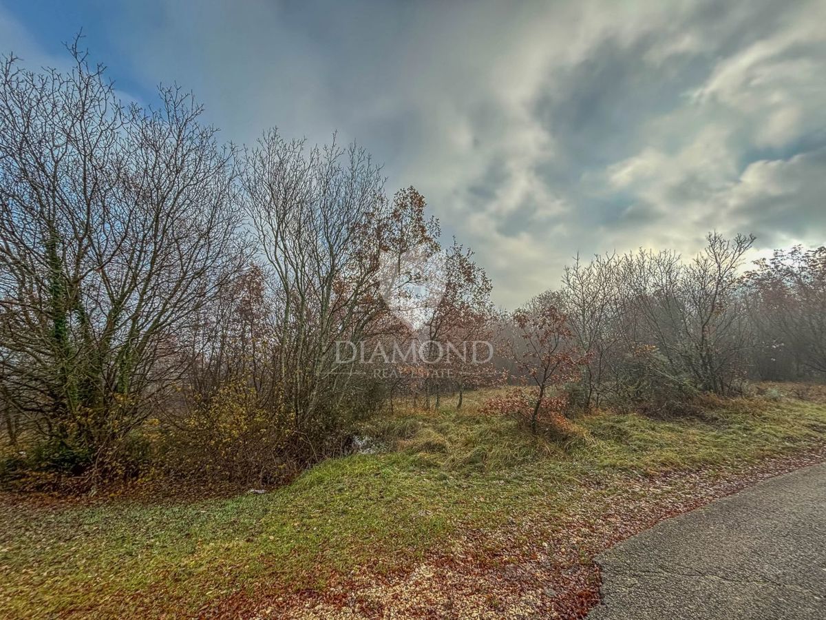 Montona, foresta in posizione tranquilla!