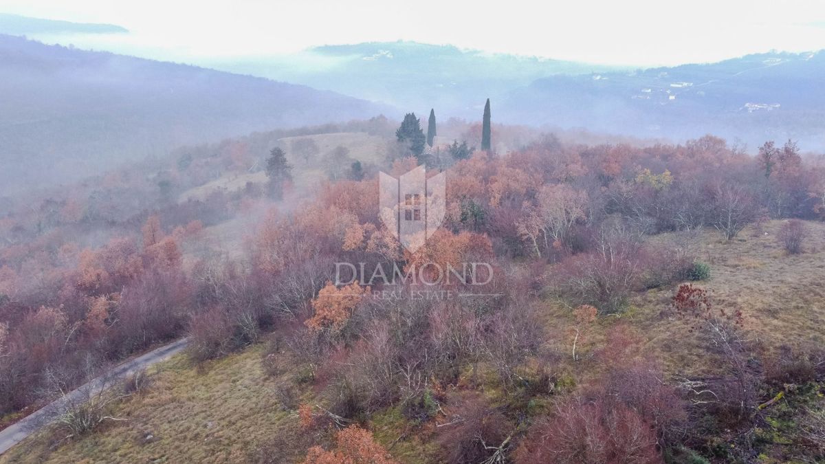 Montona, foresta in posizione tranquilla!