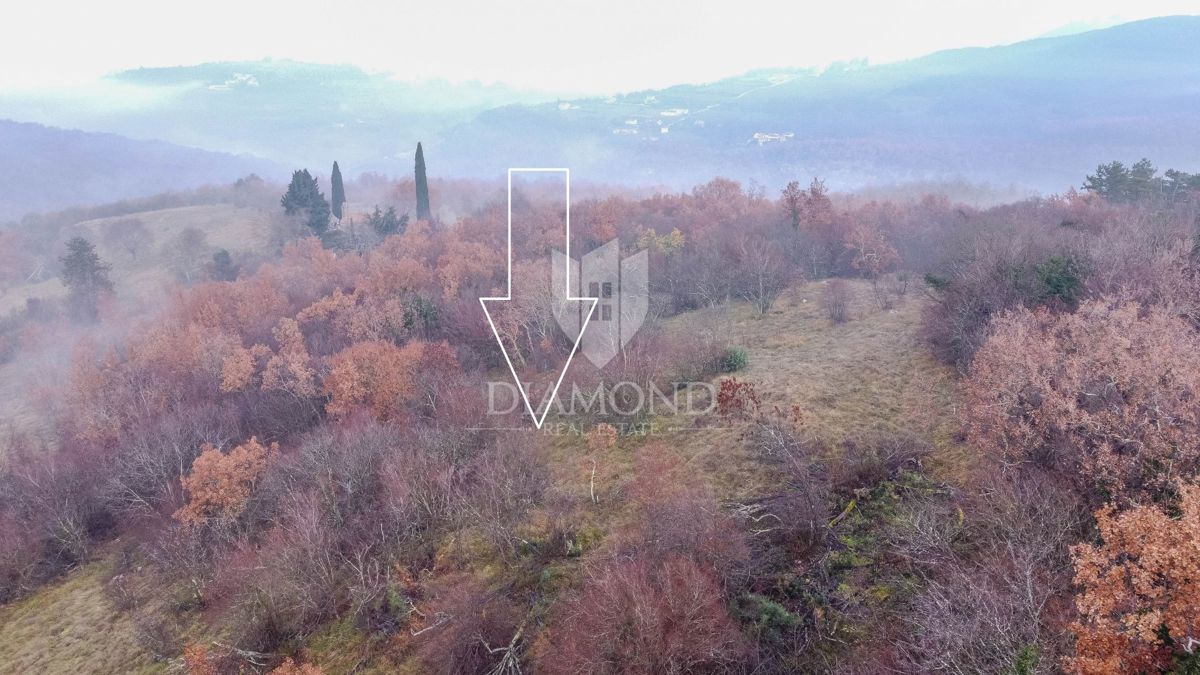 Montona, foresta in posizione tranquilla!