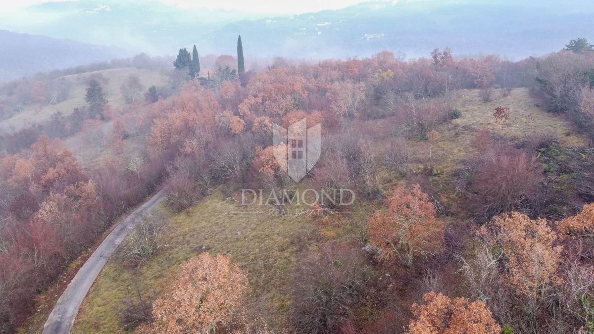 Montona, foresta in posizione tranquilla!