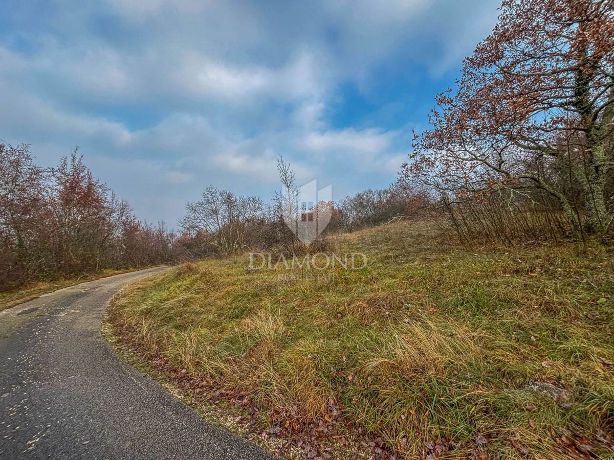 Montona, foresta in posizione tranquilla!
