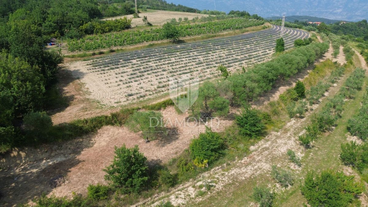 Terreno Pićan, 758m2