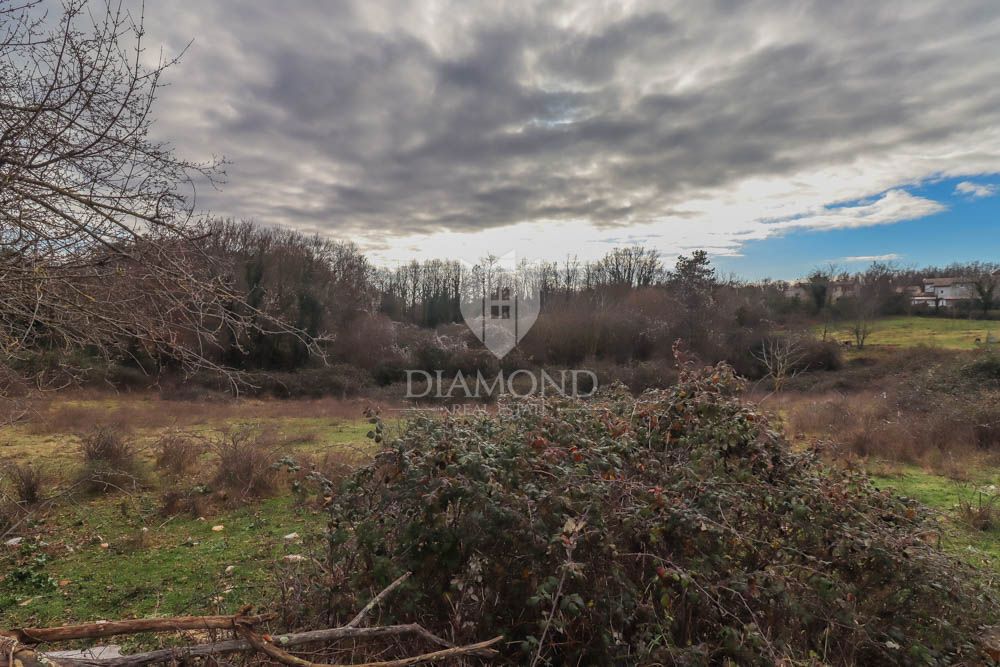 Terreno Beram, Pazin - Okolica, 2.898m2