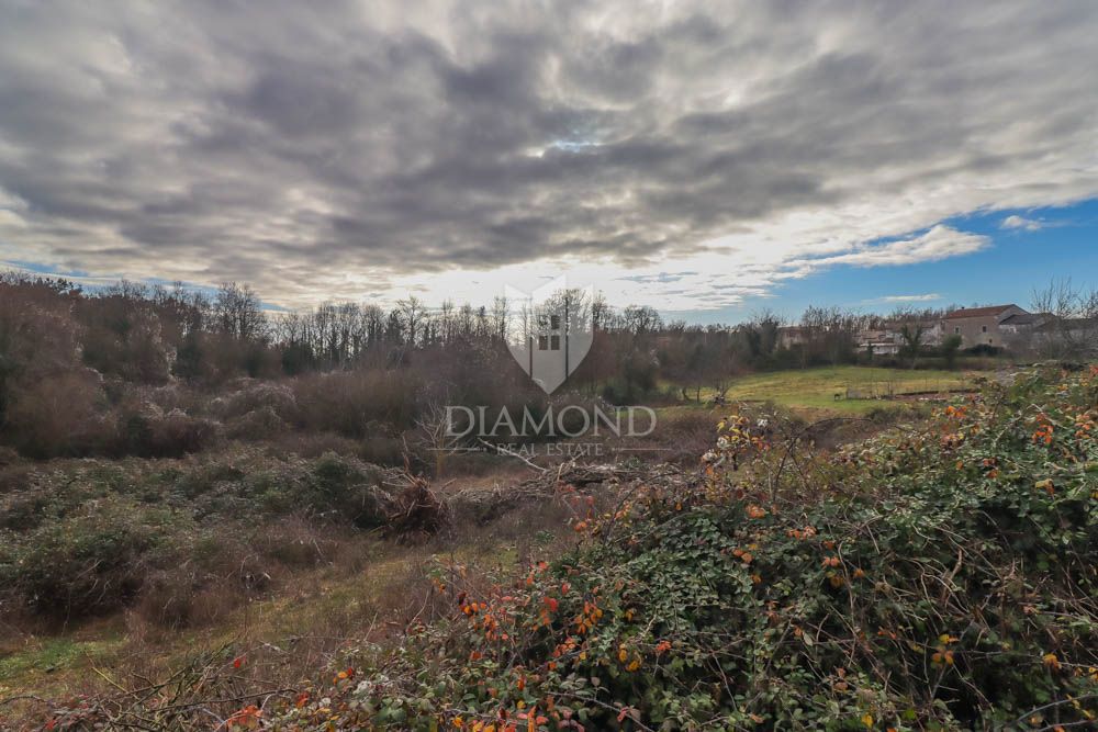 Terreno Beram, Pazin - Okolica, 2.898m2