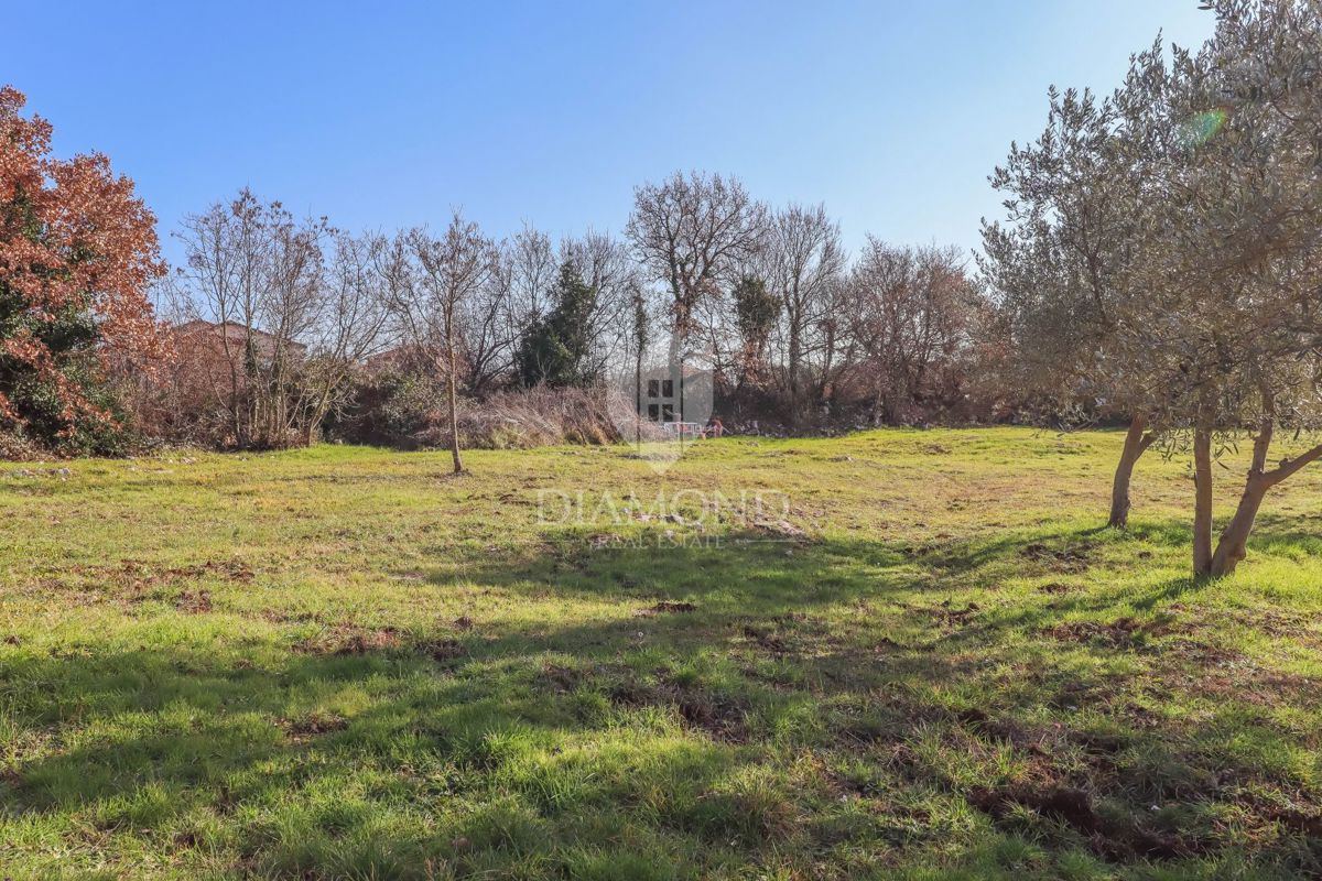 Bellissimo appezzamento di terreno vicino a Rovigno