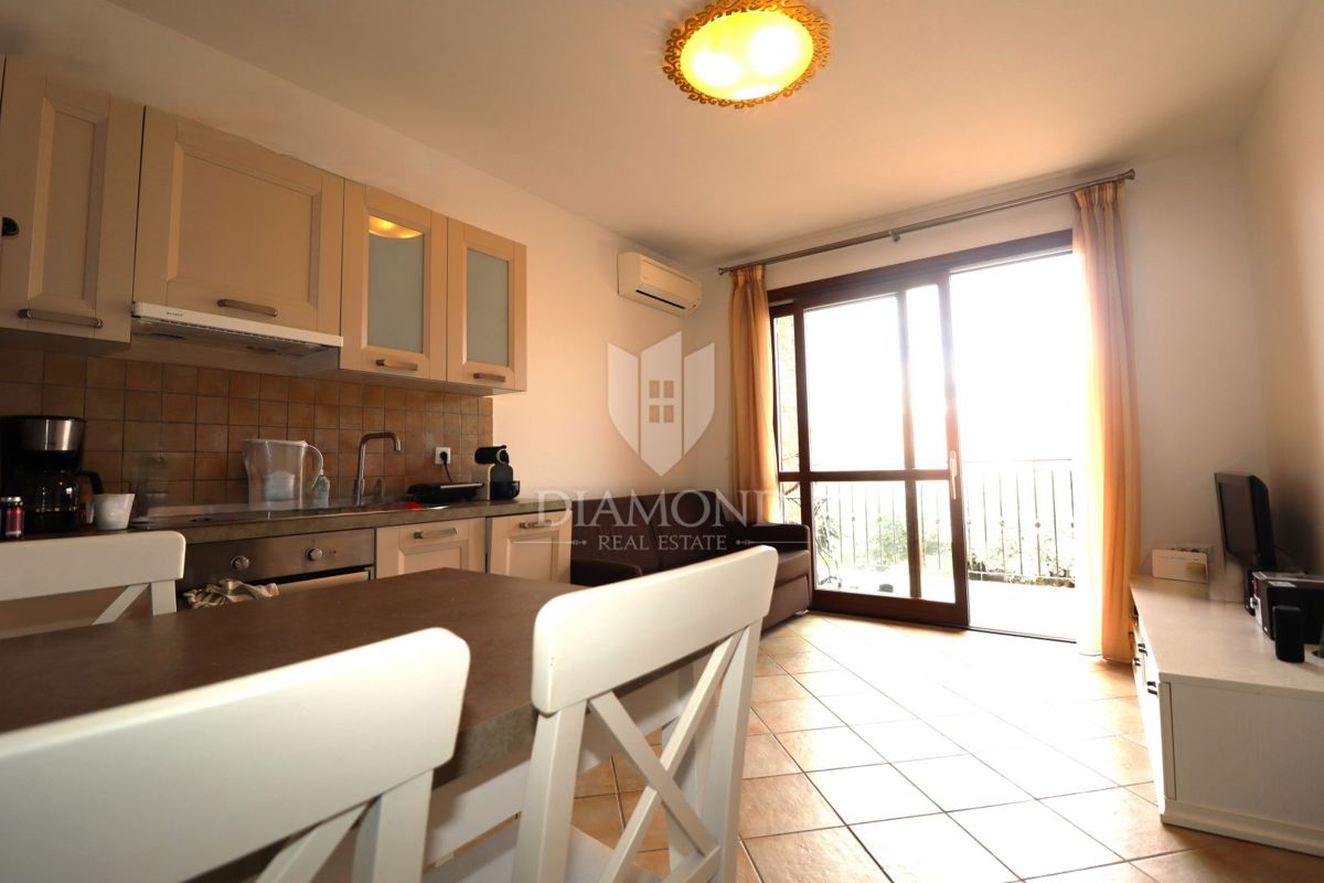 Occasione! Appartamento moderno, completamente arredato con piscina condominiale – Poreč