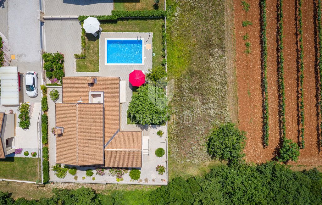 Parenzo, dintorni, villa con piscina immersa nel verde