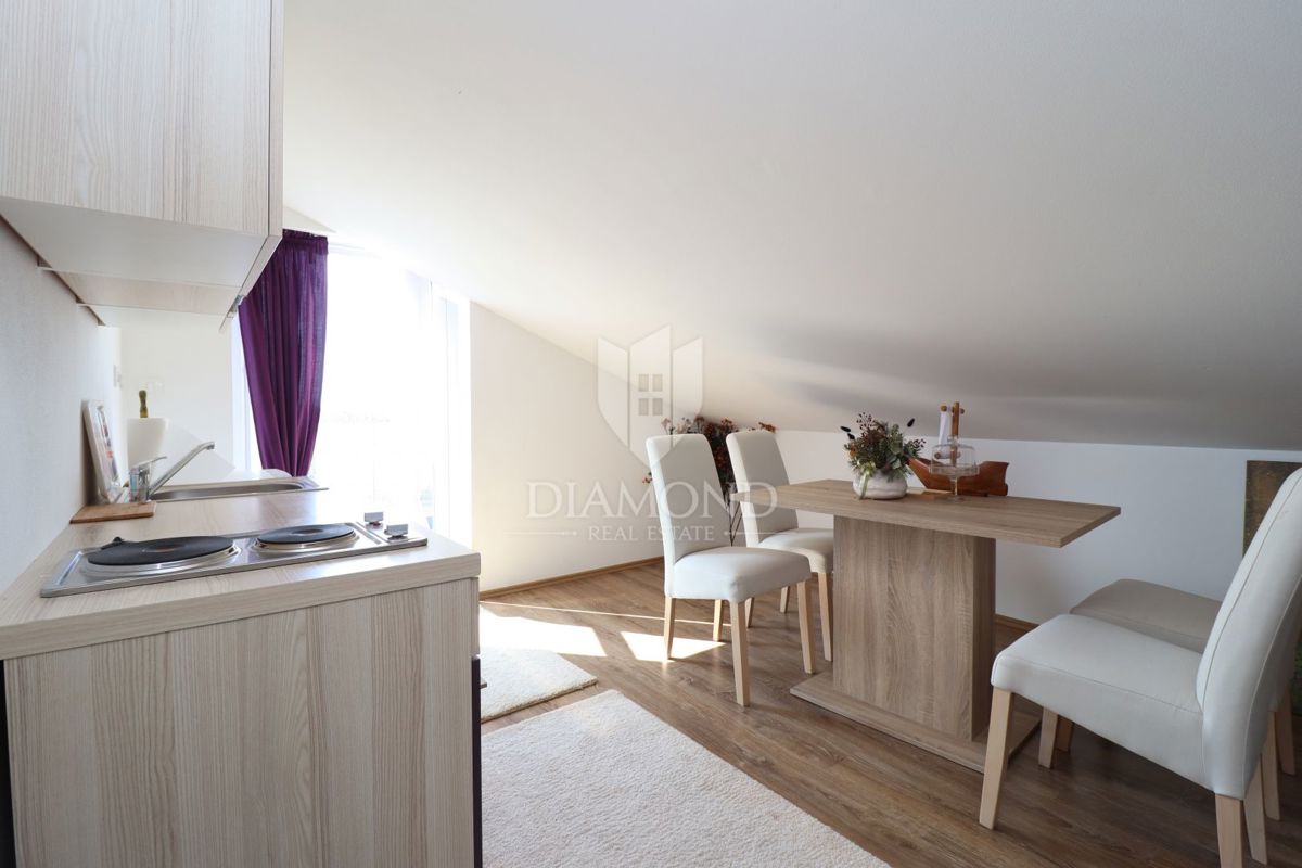 Parenzo, dintorni, casa arredata con vista mare e natura