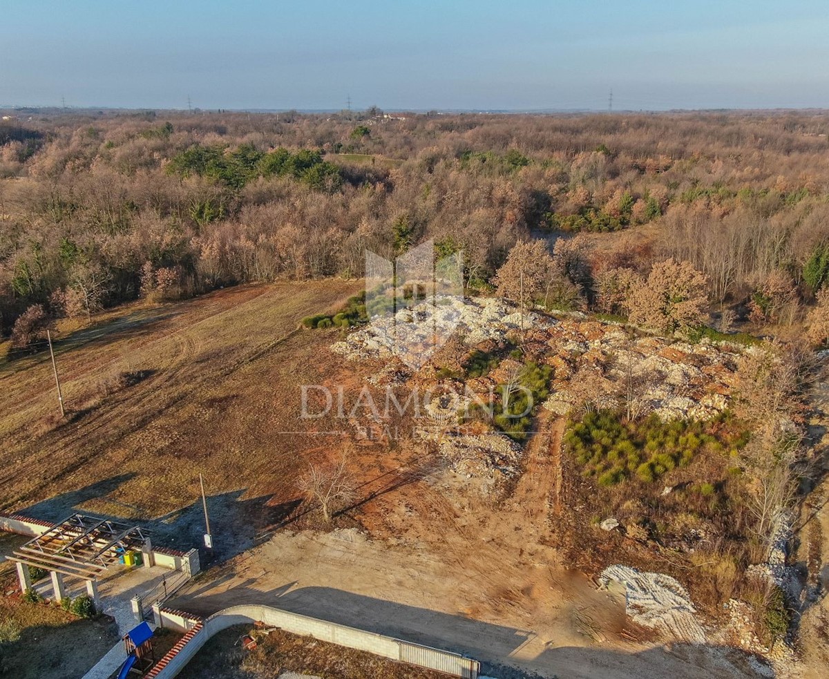 Marcana, dintorni, terreno edificabile in natura