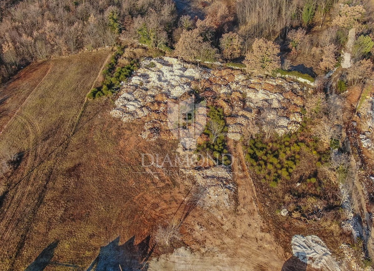 Marcana, dintorni, terreno edificabile in natura