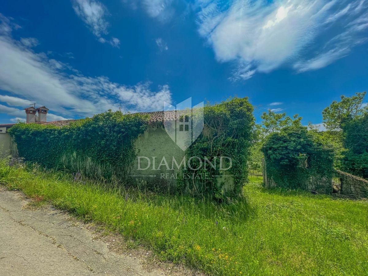 Buie, Grisignana, casa istriana con ampio giardino!