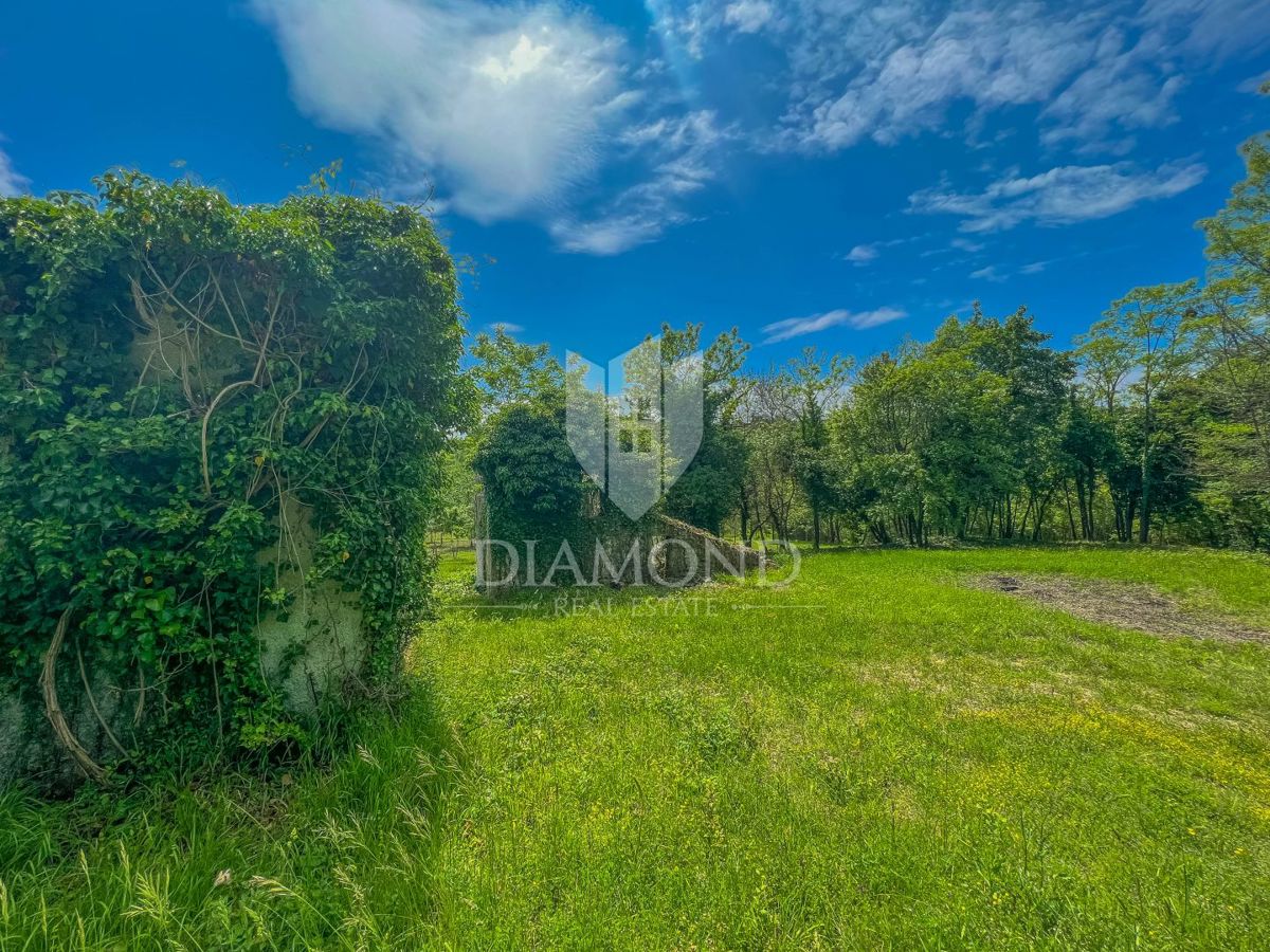 Buie, Grisignana, casa istriana con ampio giardino!