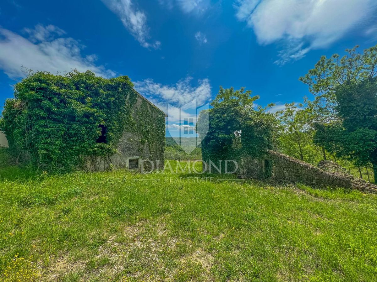 Buie, Grisignana, casa istriana con ampio giardino!