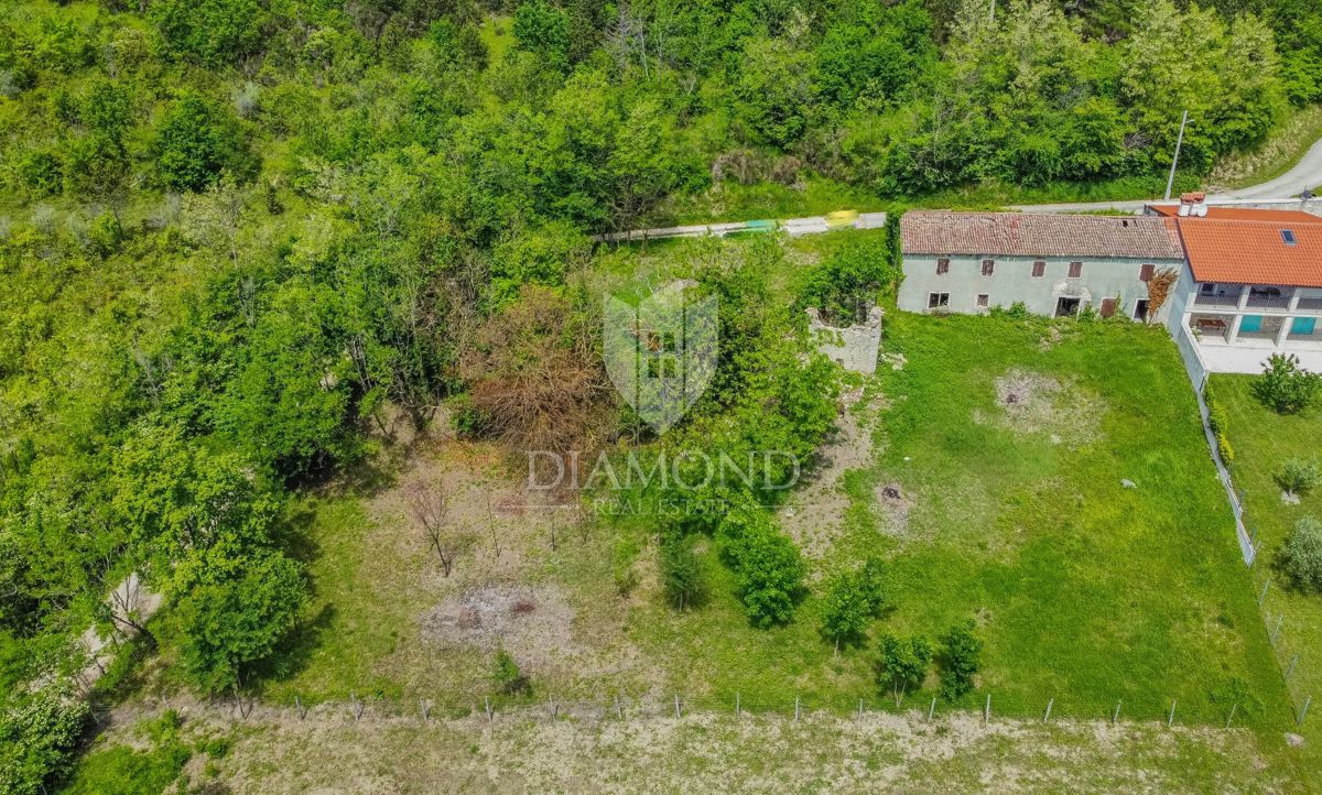 Buie, Grisignana, casa istriana con ampio giardino!