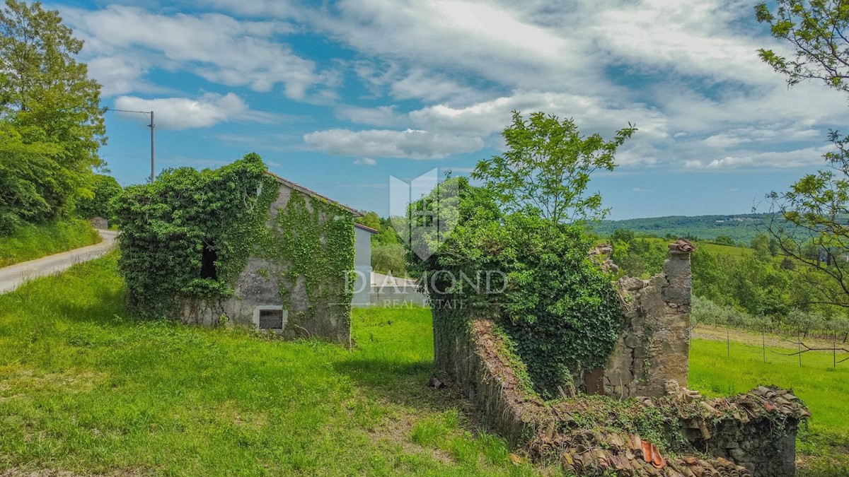 Grisignana, casa istriana con ampio giardino in posizione tranquilla