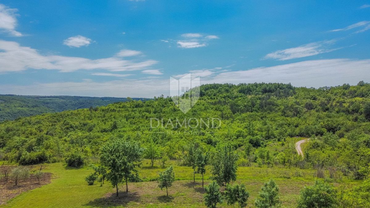 Buie, Grisignana, casa istriana con ampio giardino!
