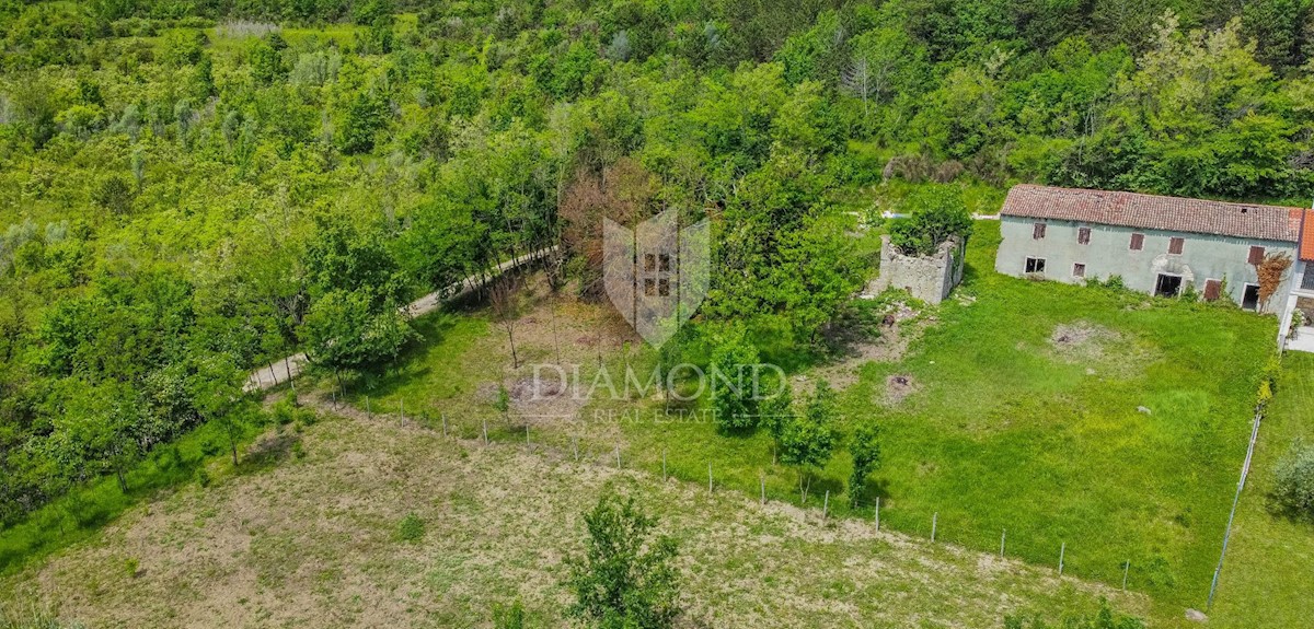 Grisignana, casa istriana con ampio giardino in posizione tranquilla