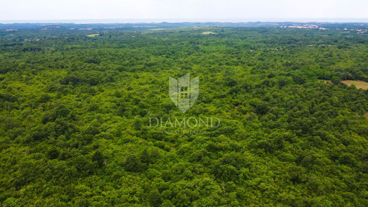 Terreno Poreč, 35.909m2