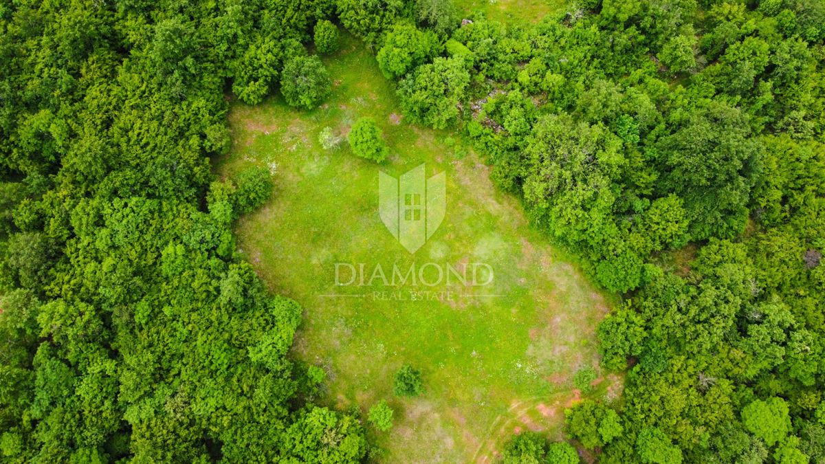 Terreno Poreč, 35.909m2