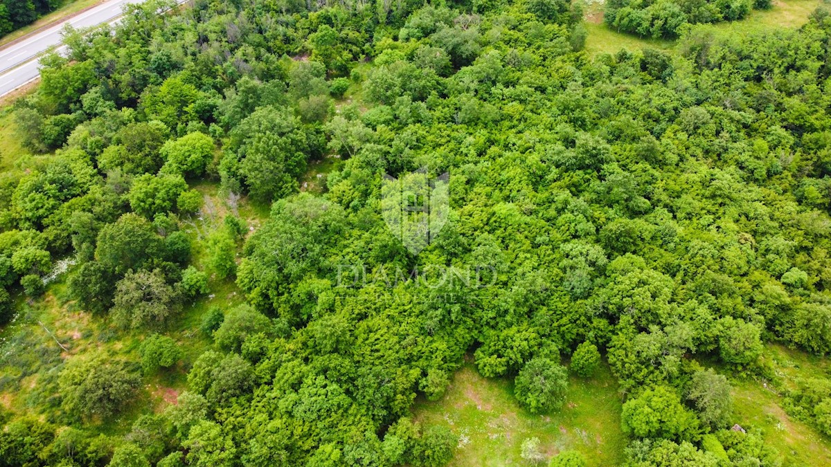 Terreno Poreč, 35.909m2