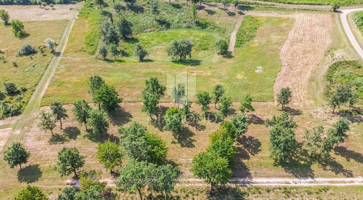 Parenzo, dintorni, terreno edificabile per costruire una casa!