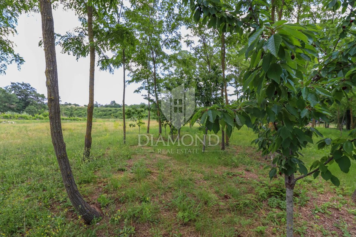 Kanfanar, dintorni, terreno in posizione tranquilla