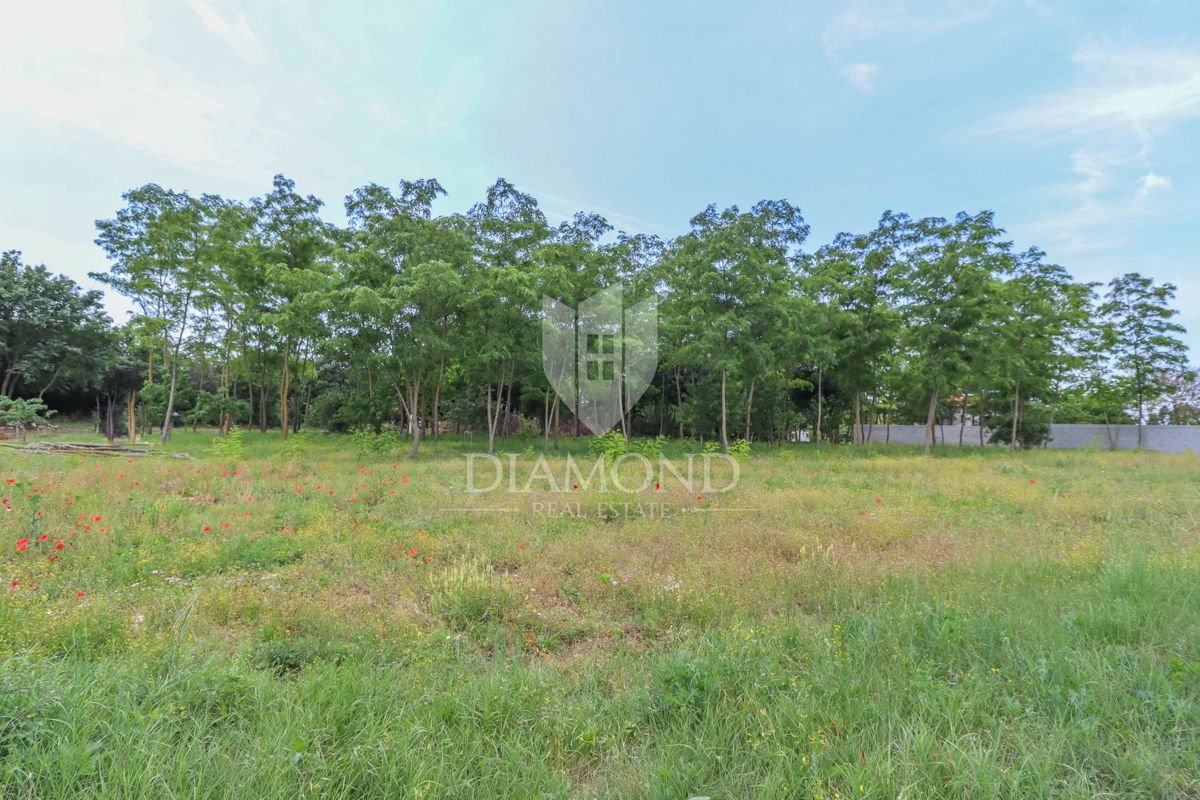 Kanfanar, dintorni, terreno in posizione tranquilla